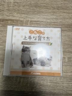 こねこの上手な育て方 DVDのサムネイル