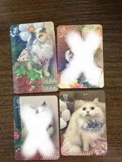 猫カフェmocha天神大名店　トレカ　苺のサムネイル
