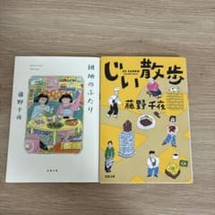 藤野千夜 団地のふたり じい散歩 2冊セットのサムネイル