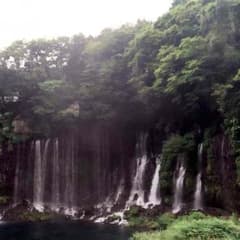 のん様専用のサムネイル