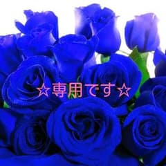 ドラゴンボール龍のキーホルダーのサムネイル