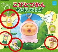 코비토 잡기 메지루시 프렌즈 가챠 가챠