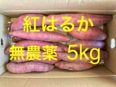 ③ 紅はるか L、2L 5㎏ 箱込み    無農薬 さつまいものサムネイル