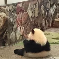 かず様専用のサムネイル