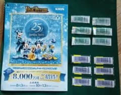 KIRIN Viva! Dreamキャンペーン応募用バーコード計12枚+応募封筒 - 4