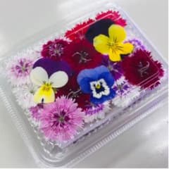 無農薬エディブルフラワーミックスのサムネイル