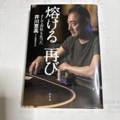 燃える再び 井川慶高著 幻冬舎のサムネイル