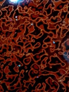 m55672066587_1.jpg?1741387958