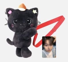 nct wish リク クリ バッグ ぬいぐるみ ペンライト バッグ - メルカリ