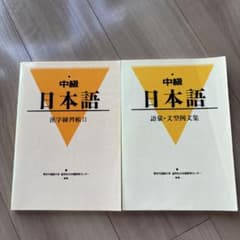 中級日本語 語彙・文型例文集 漢字練習帳Ⅱ 2冊セットのサムネイル
