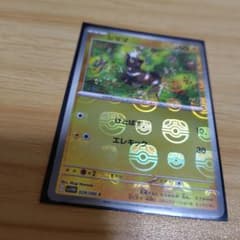 m55698201499_1.jpg?1749221677