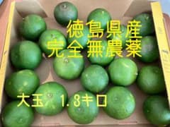 徳島県産　すだち　無農薬　1.3kgのサムネイル