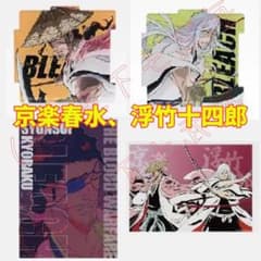 이치 반 쿠지 BLEACH Stirring Souls vol.4 게이 라쿠 하루미 우키 타케