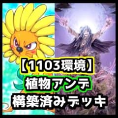 m55720264892_1.jpg?1724494564