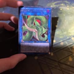 遊戯王 捕食植物ヴェルテ アナコンダのサムネイル