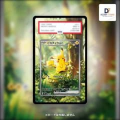 PSA Pokémon TCG Starter Deck SAR Pikachu ex Extended Art Case