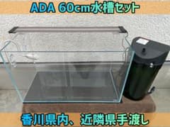 ADA キューブガーデン60 エーハイム2215 ガラスパイプ付 水槽セット ADA キューブガーデン60 エーハイム2215 ガラスパイプ付 水槽セット