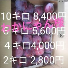 わかにゃん様 ２個目 ６キロ わかにゃん様 2個目 6キロ - メルカリ