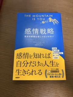 感情戦略 自分の感情を信じてはいけない ブリアンナ・ウィーストのサムネイル