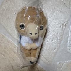 판타스틱 비스트와 검은 마법사의 탄생 조금 씨 베이비 니플러