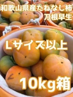 新鮮！和歌山県産たねなし柿（刀根早生）Lサイズ以上混合　10kg箱のサムネイル
