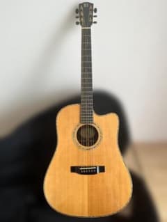 Ayers DCSR アコースティックギター（ピックアップ搭載・ハードケース付） Ayers DCSR アコースティックギター（ピックアップ搭載・ハードケース