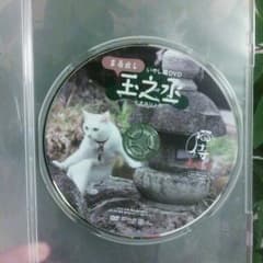 ●【売約済】猫侍　玉之丞　DVDのサムネイル