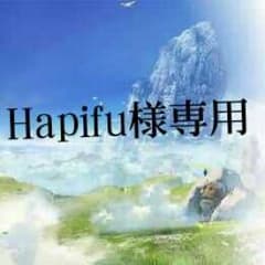 Hapifu様専用 ヴェイグ＆ルカのサムネイル