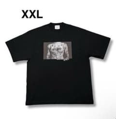 m55749084033_1.jpg?1758469009