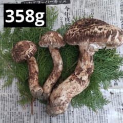 宮城県産松茸のサムネイル