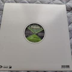 ジャパレゲレコード RYO the SKYWALKER レゲエ REGGAE - メルカリ