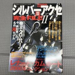 シルバーアクセ完全FILE II 2000年版のサムネイル