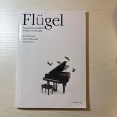 Flügel: Deutsche Grammatik A1-A2-B1のサムネイル