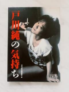 戸川純の気持ち絶版　レア　希少　　戸川純　ヤプーズ　ゲルニカ　玉姫様　サブカルのサムネイル