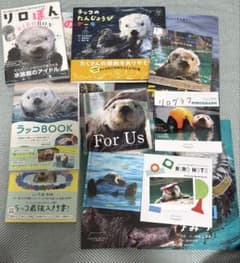 T*F様 ラッコ　本　まとめ売り T*F様 ラッコ 本 まとめ売り - メルカリ