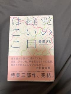愛の縫い目はここ 最果タヒ 詩集のサムネイル