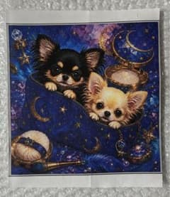 CK様パネル 生地 はぎれ チワワ 3枚 - メルカリ