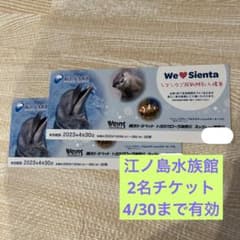 値下げ【バラ売り可】新江ノ島水族館入場券2名分チケットえのすい23/4/30までのサムネイル
