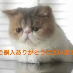 doiyasan 様専用のサムネイル