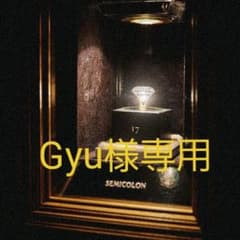 Gyu様専用のサムネイル