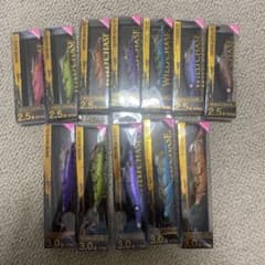 ワイルドチェイス スクイッドマニア エギ セットのサムネイル