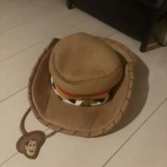Toy Story Woody Fan Cap Hat