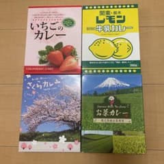 珍しいカレー　4個セットのサムネイル