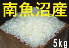 令和8年産 本物の南魚沼産を小さな農家がお届け こしひかり コシヒカリ5kgのサムネイル