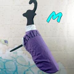 イタグレ服　【単品販売不可】AMIABLEのサムネイル