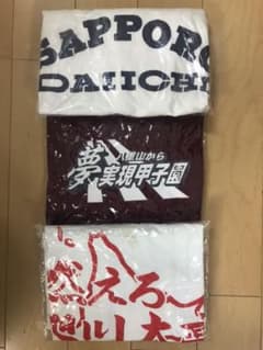 高校野球　応援用半袖Tシャツ　３枚セット　札幌第一　八重山商工　旭川大高　甲子園のサムネイル