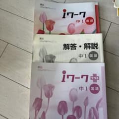 iワーク 中1 国語 解答・解説のサムネイル