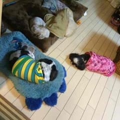 naaa7様 専用のサムネイル