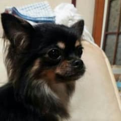 samu様専用です。のサムネイル