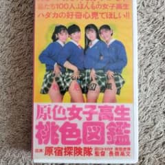 VHS原色女子高生桃色図鑑/原宿探検隊 南部虎弾 田口トモロヲ 長嶺高文 